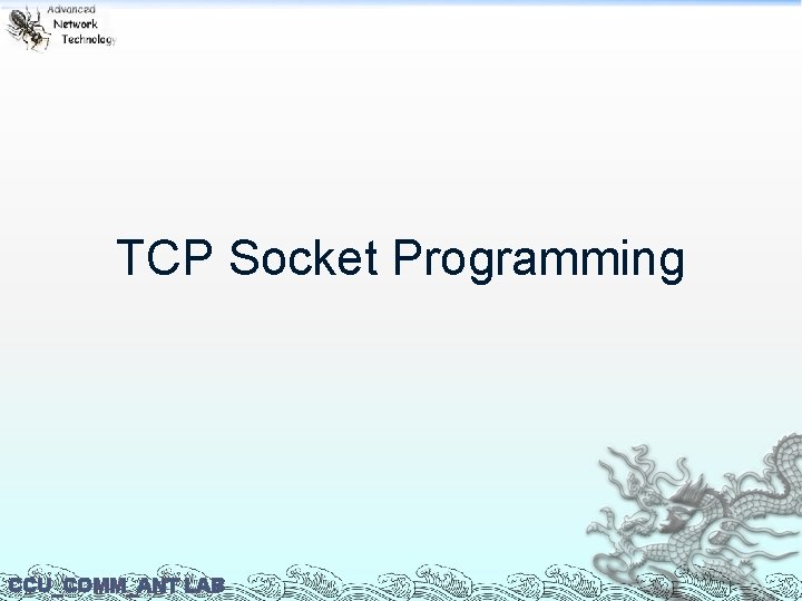 TCP Socket Programming CCU_COMM_ANT LAB 