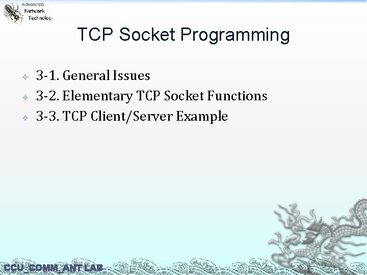 TCP Socket Programming 3 -1. General Issues 3 -2. Elementary TCP Socket Functions 3