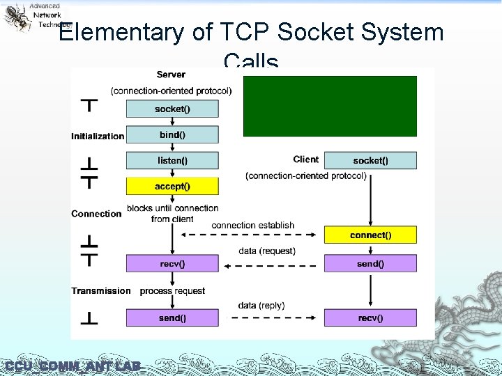 Elementary of TCP Socket System Calls CCU_COMM_ANT LAB 