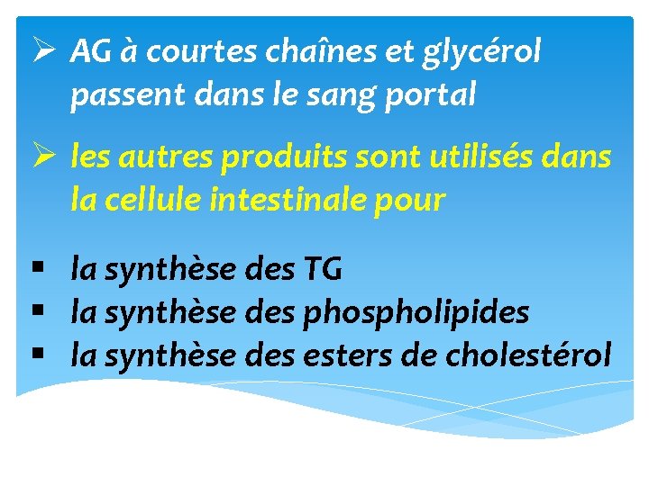 Ø AG à courtes chaînes et glycérol passent dans le sang portal Ø les