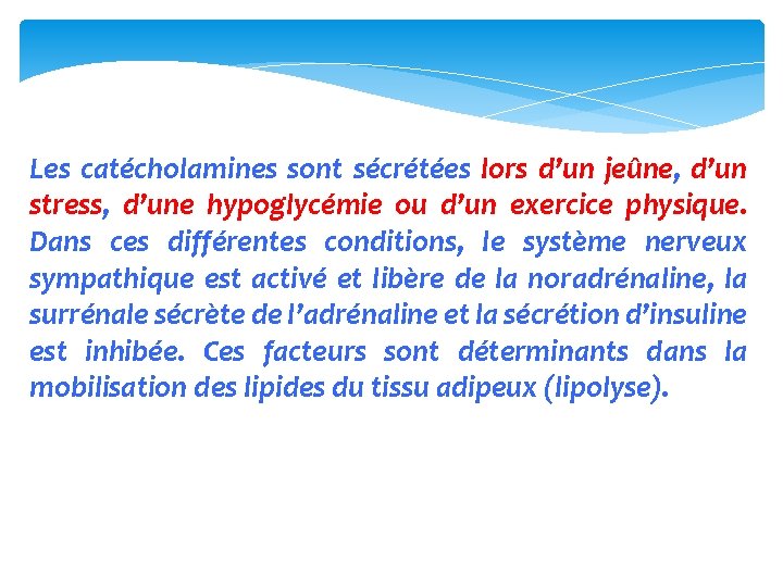 Les catécholamines sont sécrétées lors d’un jeûne, d’un stress, d’une hypoglycémie ou d’un exercice