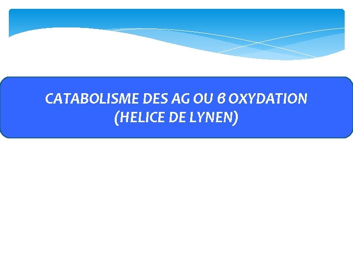 CATABOLISME DES AG OU β OXYDATION (HELICE DE LYNEN) 