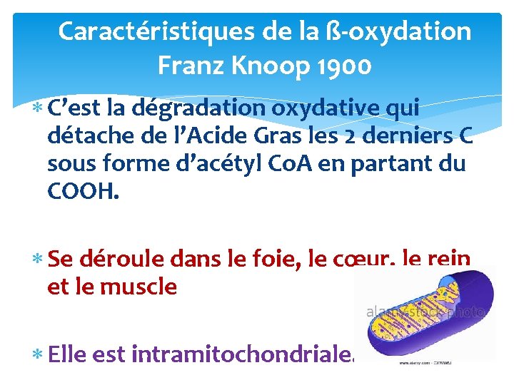 Caractéristiques de la ß-oxydation Franz Knoop 1900 C’est la dégradation oxydative qui détache de