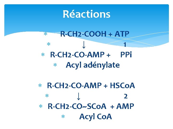 Réactions R-CH 2 -COOH + ATP ↓ 1 R-CH 2 -CO-AMP + PPi Acyl