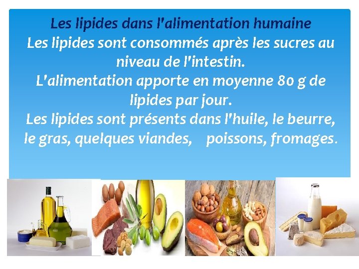 Les lipides dans l'alimentation humaine Les lipides sont consommés après les sucres au niveau