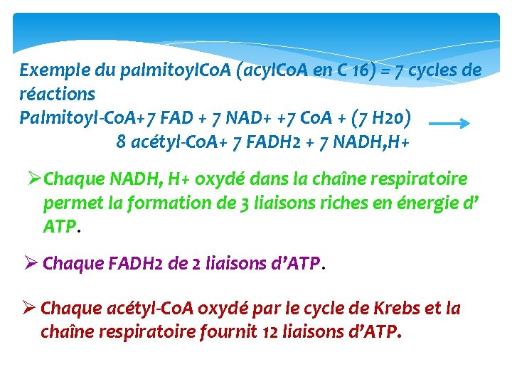 Exemple du palmitoyl. Co. A (acyl. Co. A en C 16) = 7 cycles