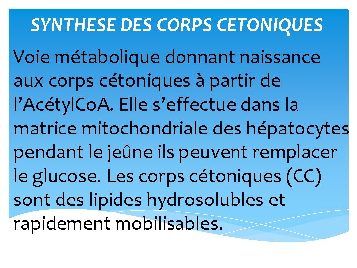 SYNTHESE DES CORPS CETONIQUES Voie métabolique donnant naissance aux corps cétoniques à partir de