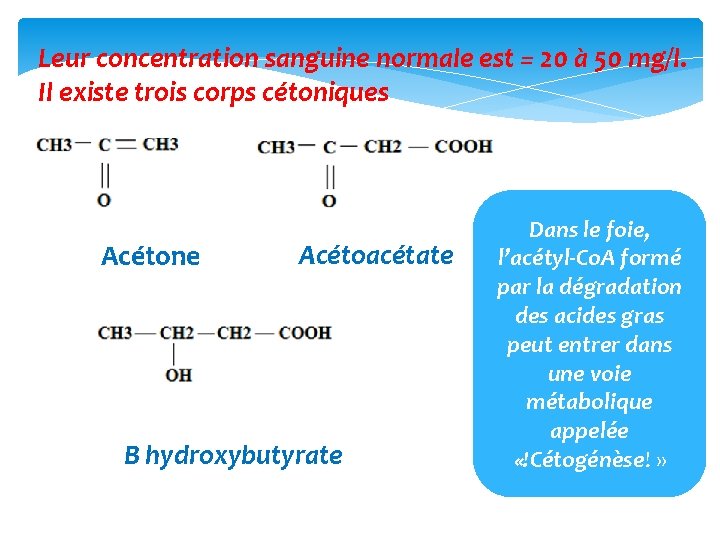 Leur concentration sanguine normale est = 20 à 50 mg/l. Il existe trois corps