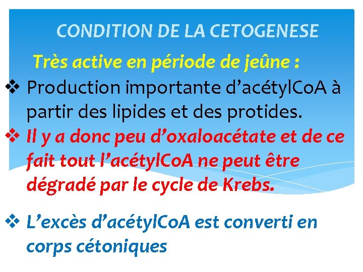 CONDITION DE LA CETOGENESE Très active en période de jeûne : v Production importante