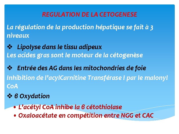 REGULATION DE LA CETOGENESE La régulation de la production hépatique se fait à 3