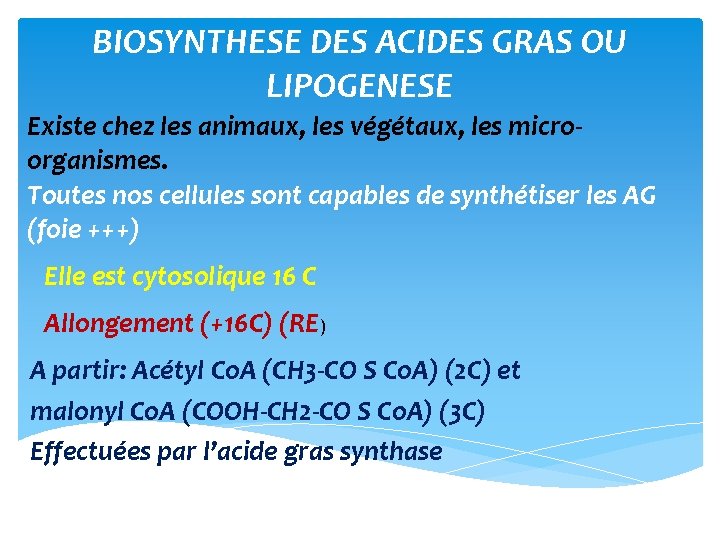 BIOSYNTHESE DES ACIDES GRAS OU LIPOGENESE Existe chez les animaux, les végétaux, les micro‐