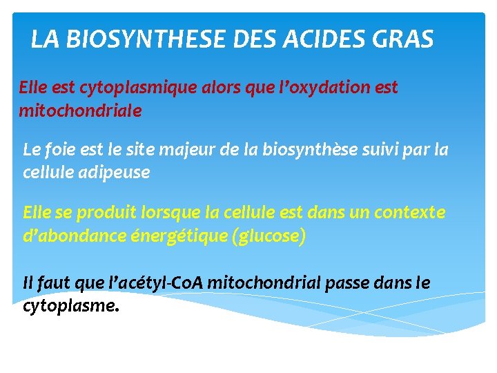 LA BIOSYNTHESE DES ACIDES GRAS Elle est cytoplasmique alors que l’oxydation est mitochondriale Le
