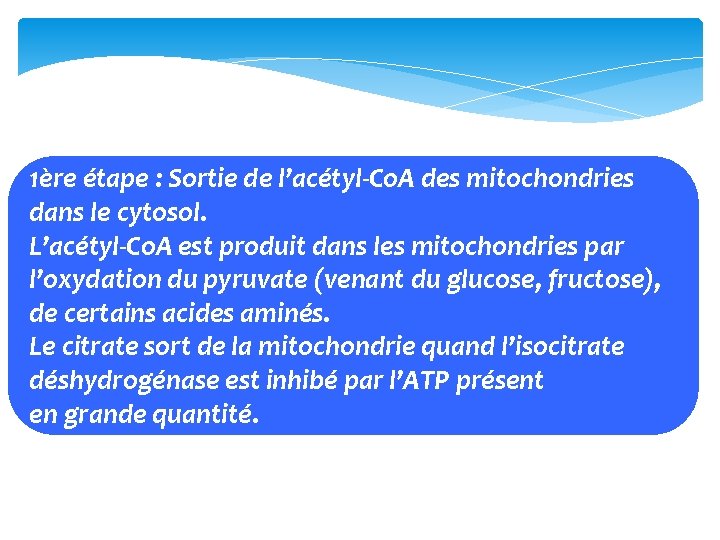 1ère étape : Sortie de l’acétyl‐Co. A des mitochondries dans le cytosol. L’acétyl‐Co. A