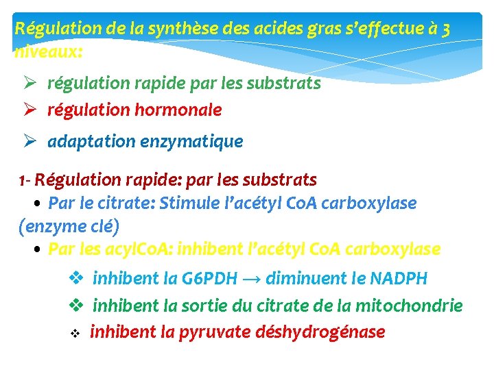 Régulation de la synthèse des acides gras s’effectue à 3 niveaux: Ø régulation rapide