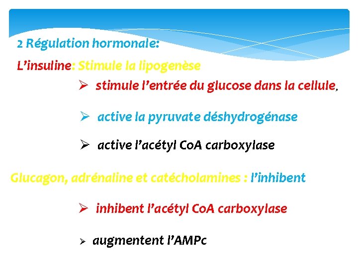 2 Régulation hormonale: L’insuline: Stimule la lipogenèse Ø stimule l’entrée du glucose dans la