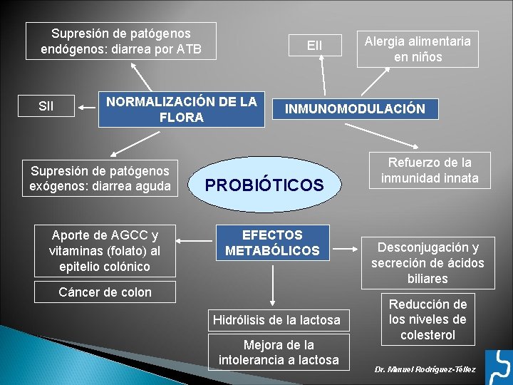 Supresión de patógenos endógenos: diarrea por ATB SII EII NORMALIZACIÓN DE LA FLORA Supresión