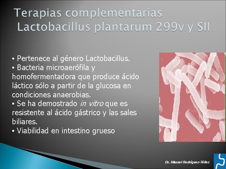  • Pertenece al género Lactobacillus. • Bacteria microaerófila y homofermentadora que produce ácido