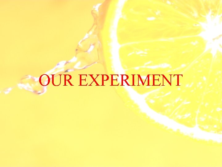 OUR EXPERIMENT 