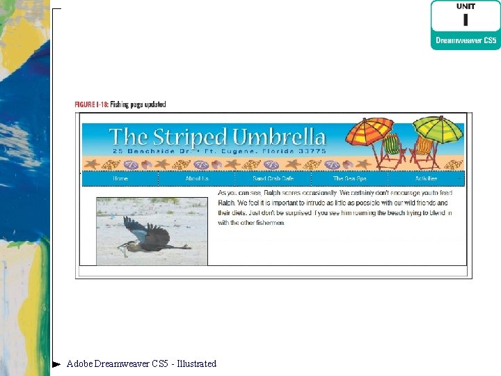 Adobe Dreamweaver CS 5 - Illustrated 