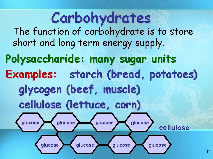 Carbohydrates The function of carbohydrate is to store short and long term energy supply.