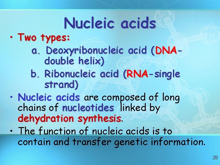 Nucleic acids • Two types: a. Deoxyribonucleic acid (DNAdouble helix) b. Ribonucleic acid (RNA-single