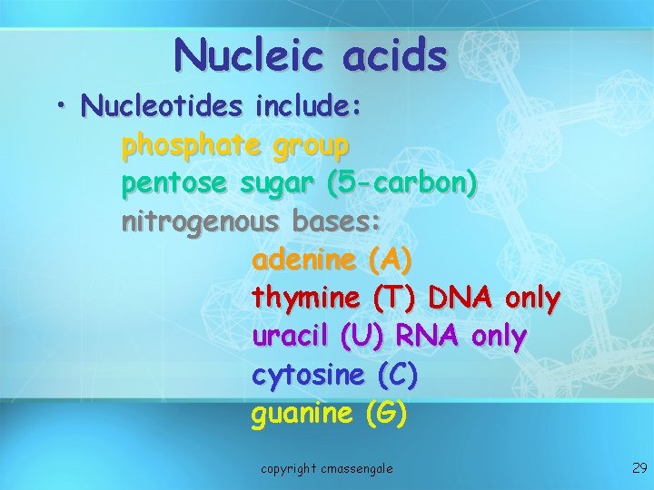 Nucleic acids • Nucleotides include: phosphate group pentose sugar (5 -carbon) nitrogenous bases: adenine
