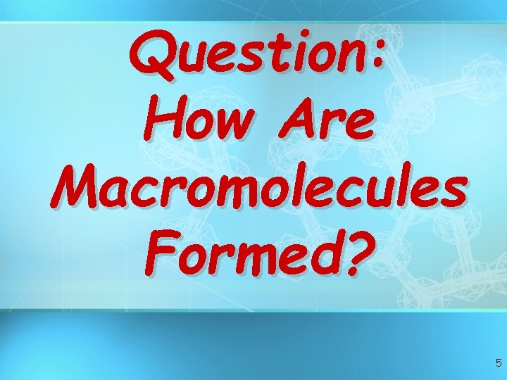 Question: How Are Macromolecules Formed? 5 