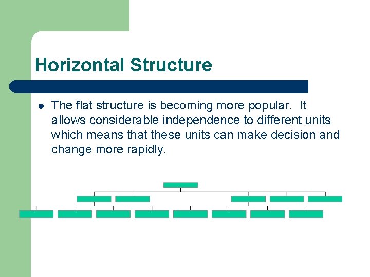 Horizontal Structure l The flat structure is becoming more popular. It allows considerable independence