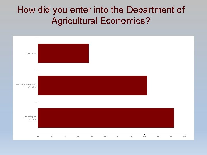 How did you enter into the Department of Agricultural Economics? 