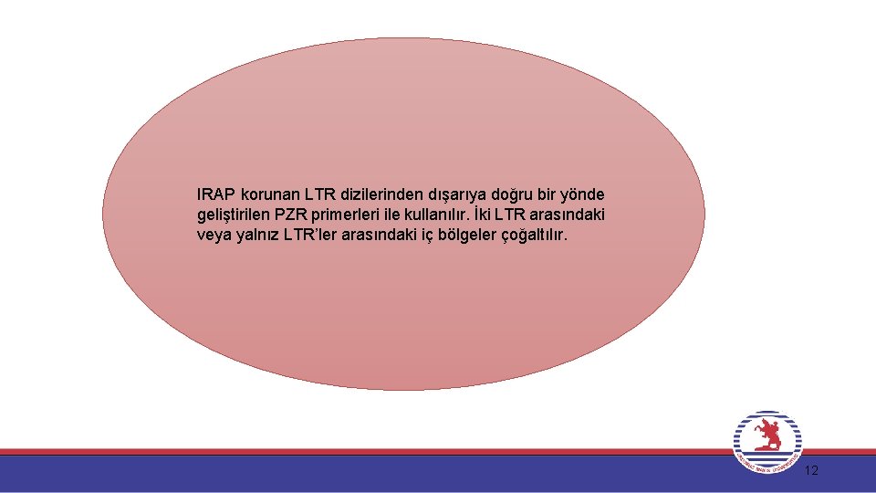 IRAP korunan LTR dizilerinden dışarıya doğru bir yönde geliştirilen PZR primerleri ile kullanılır. İki