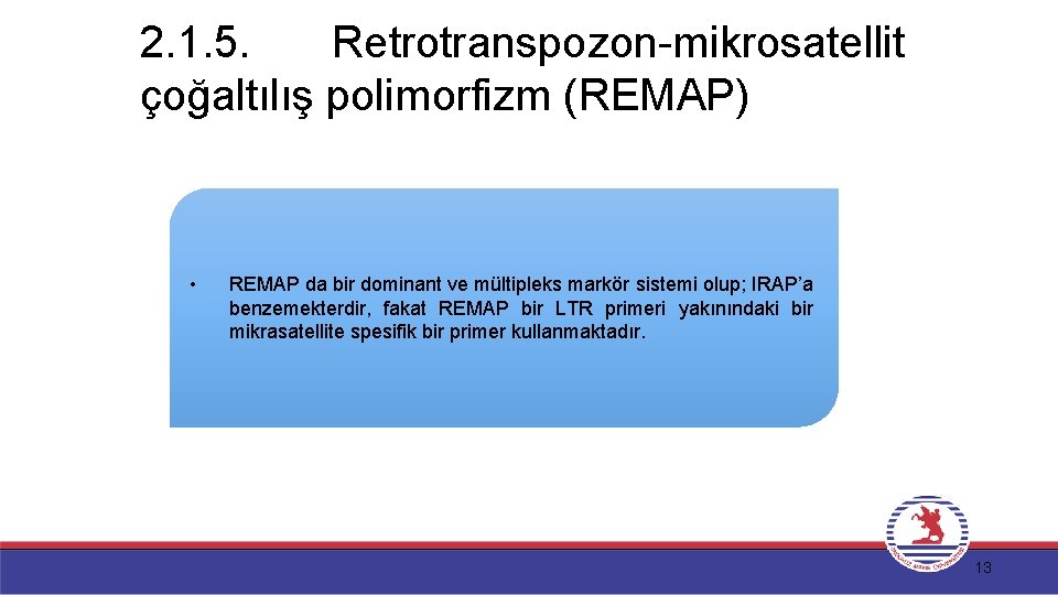 2. 1. 5. Retrotranspozon-mikrosatellit çoğaltılış polimorfizm (REMAP) • REMAP da bir dominant ve mültipleks
