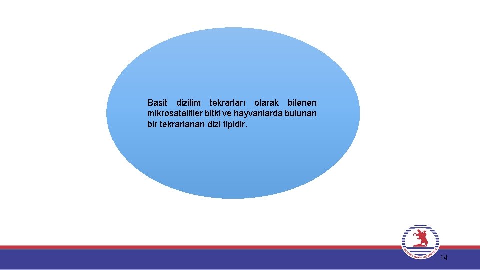 Basit dizilim tekrarları olarak bilenen mikrosatalitler bitki ve hayvanlarda bulunan bir tekrarlanan dizi tipidir.