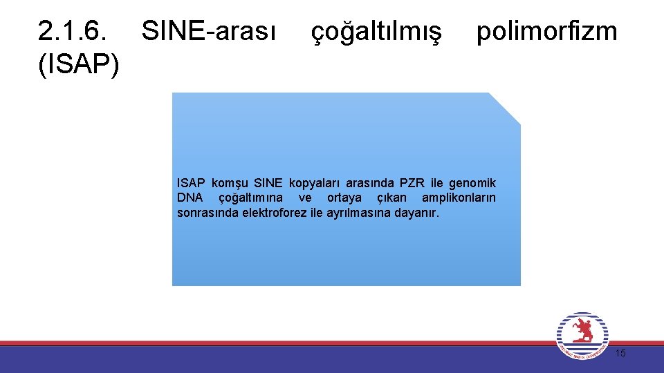 2. 1. 6. SINE-arası (ISAP) çoğaltılmış polimorfizm ISAP komşu SINE kopyaları arasında PZR ile