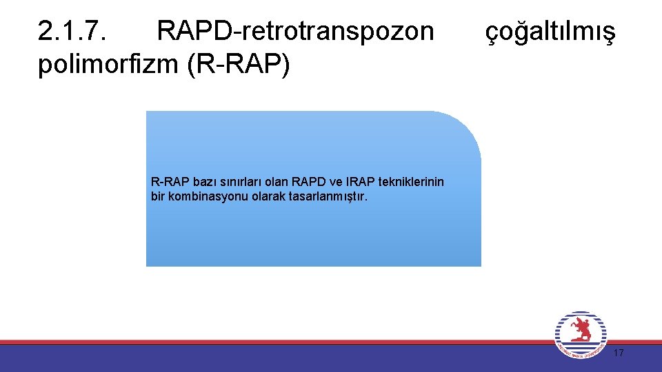 2. 1. 7. RAPD-retrotranspozon polimorfizm (R-RAP) çoğaltılmış R-RAP bazı sınırları olan RAPD ve IRAP