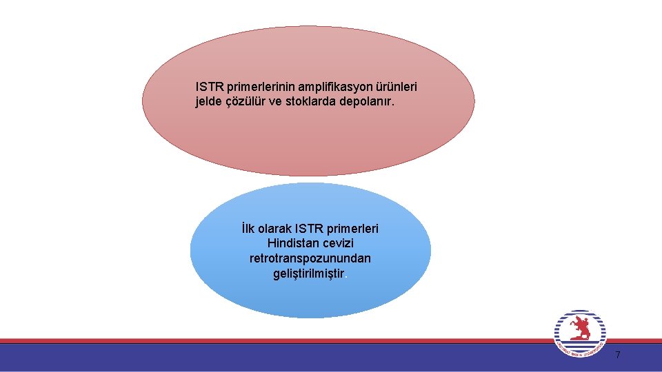 ISTR primerlerinin amplifikasyon ürünleri jelde çözülür ve stoklarda depolanır. İlk olarak ISTR primerleri Hindistan