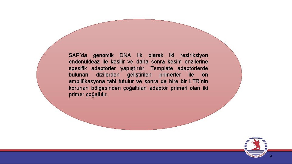 SAP’da genomik DNA ilk olarak iki restriksiyon endonükleaz ile kesilir ve daha sonra kesim