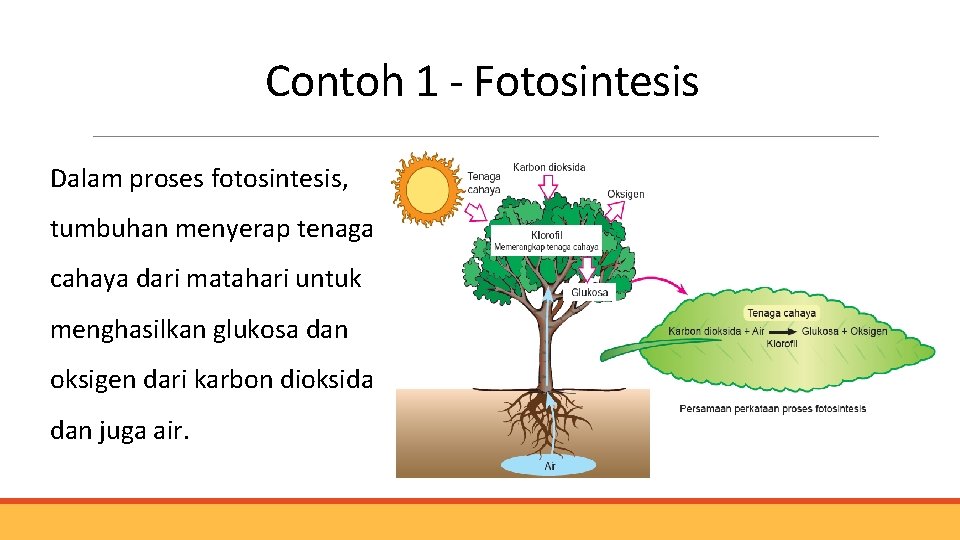 Contoh 1 - Fotosintesis Dalam proses fotosintesis, tumbuhan menyerap tenaga cahaya dari matahari untuk