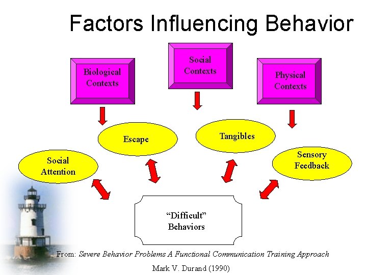 Factors Influencing Behavior Social Contexts Biological Contexts Physical Contexts Tangibles Escape Sensory Feedback Social