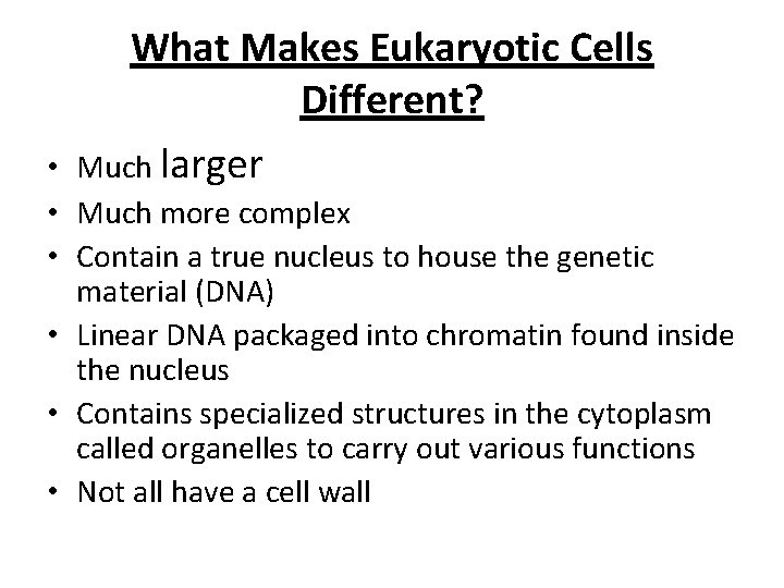 What Makes Eukaryotic Cells Different? Much larger • • Much more complex • Contain