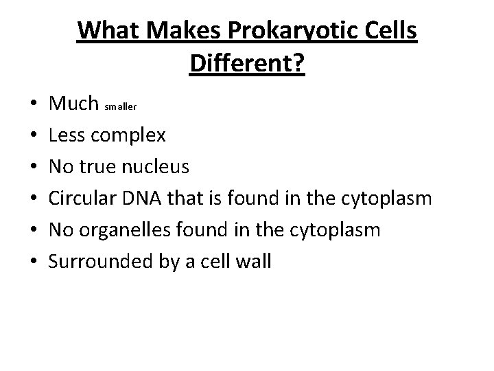 What Makes Prokaryotic Cells Different? • • • Much smaller Less complex No true