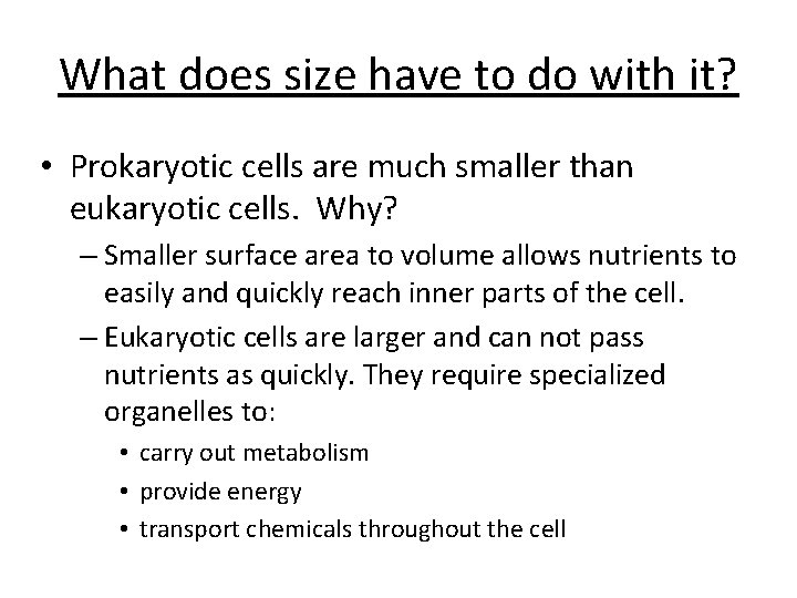 What does size have to do with it? • Prokaryotic cells are much smaller