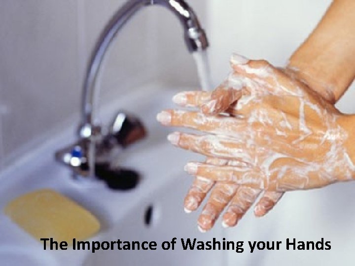 The Importance of Washing your Hands 