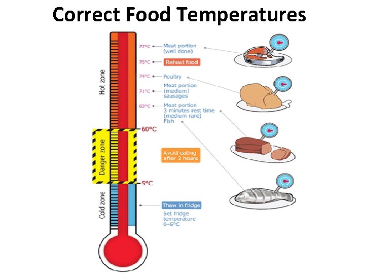 Correct Food Temperatures 