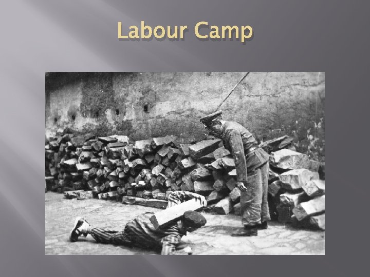 Labour Camp 