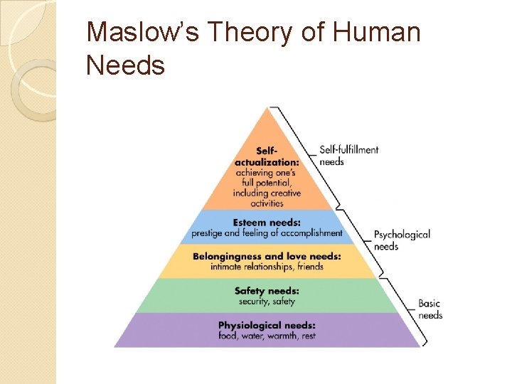 Maslow’s Theory of Human Needs 