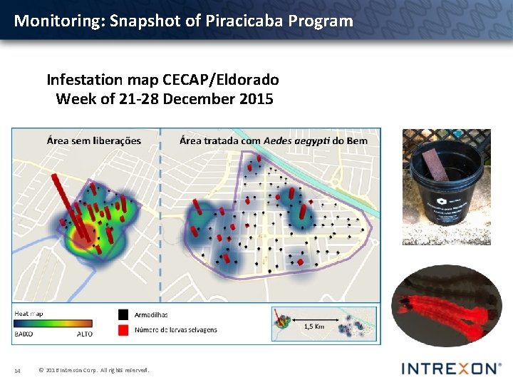 Monitoring: Snapshot of Piracicaba Program Infestation map CECAP/Eldorado Week of 21 -28 December 2015