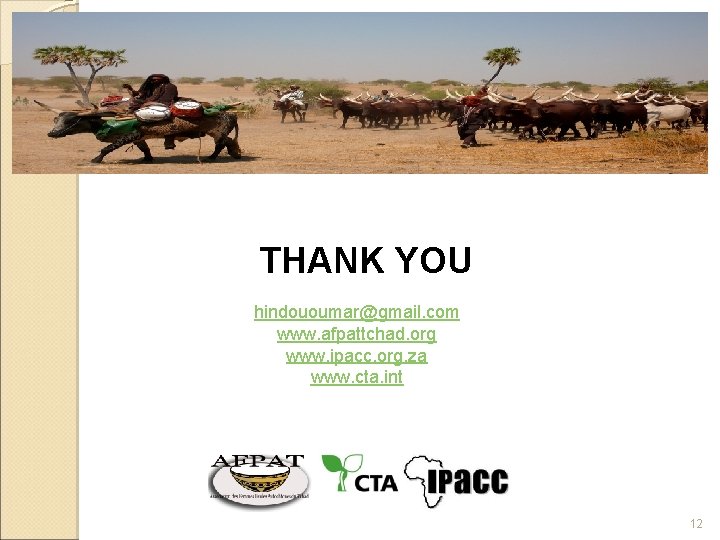 THANK YOU hindououmar@gmail. com www. afpattchad. org www. ipacc. org. za www. cta. int