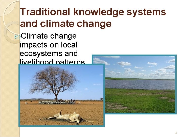 Traditional knowledge systems and climate change Climate change impacts on local ecosystems and livelihood