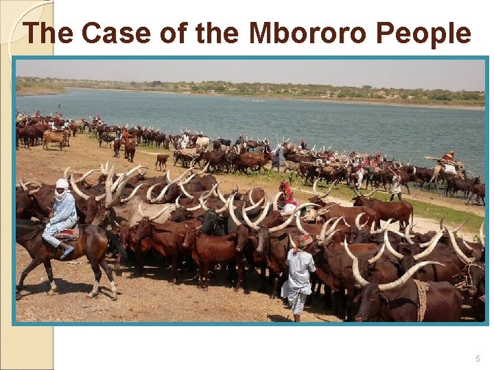 The Case of the Mbororo People 5 