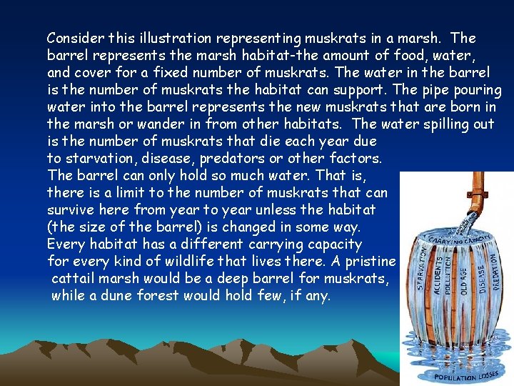 Consider this illustration representing muskrats in a marsh. The barrel represents the marsh habitat-the